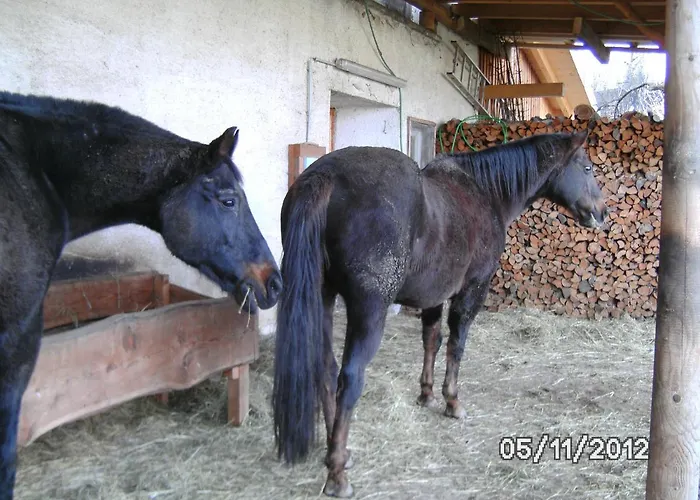 公寓 Murtal Sankt Lorenzen bei Knittelfeld